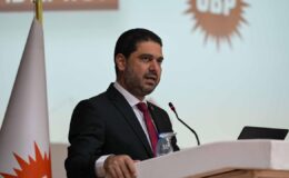 Savaşan: Her türlü şiddete karşı birlikte hareket etmek zorundayız!