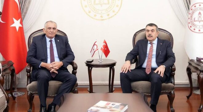 Çavuşoğlu, mevkidaşı Tekin ile bir araya geldi