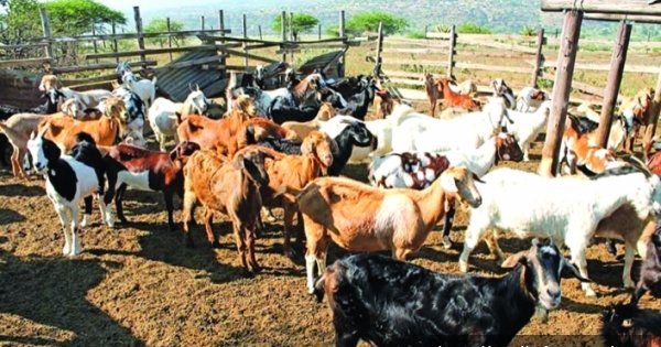 Detaylar açıklandı