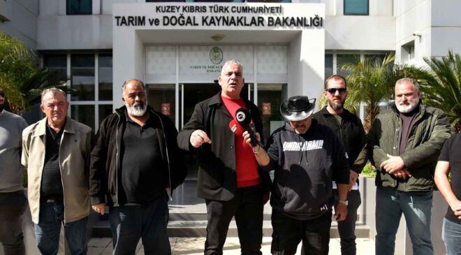 Hayvancılar: Ayda 12 Bin Ton Arpaya İhtiyaç Var