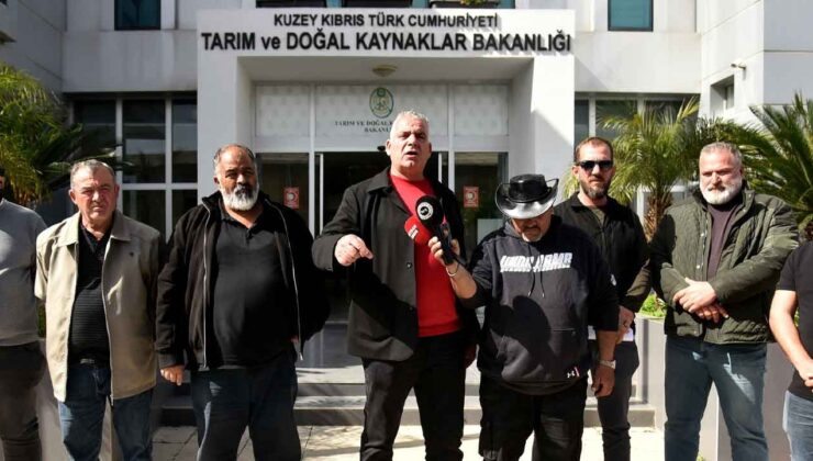 Hayvancılar: Ayda 12 Bin Ton Arpaya İhtiyaç Var