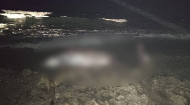 Tatlısu’da 5 metre uzunluğundaki erkek gagalı balina karaya vurdu