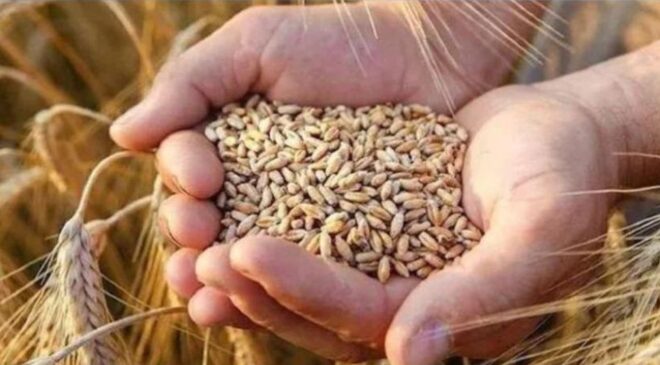 Toprak Ürünleri Kurumu: Gecikme Hava Koşullarından Kaynaklandı