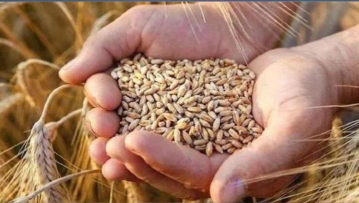 Toprak Ürünleri Kurumu: Gecikme Hava Koşullarından Kaynaklandı